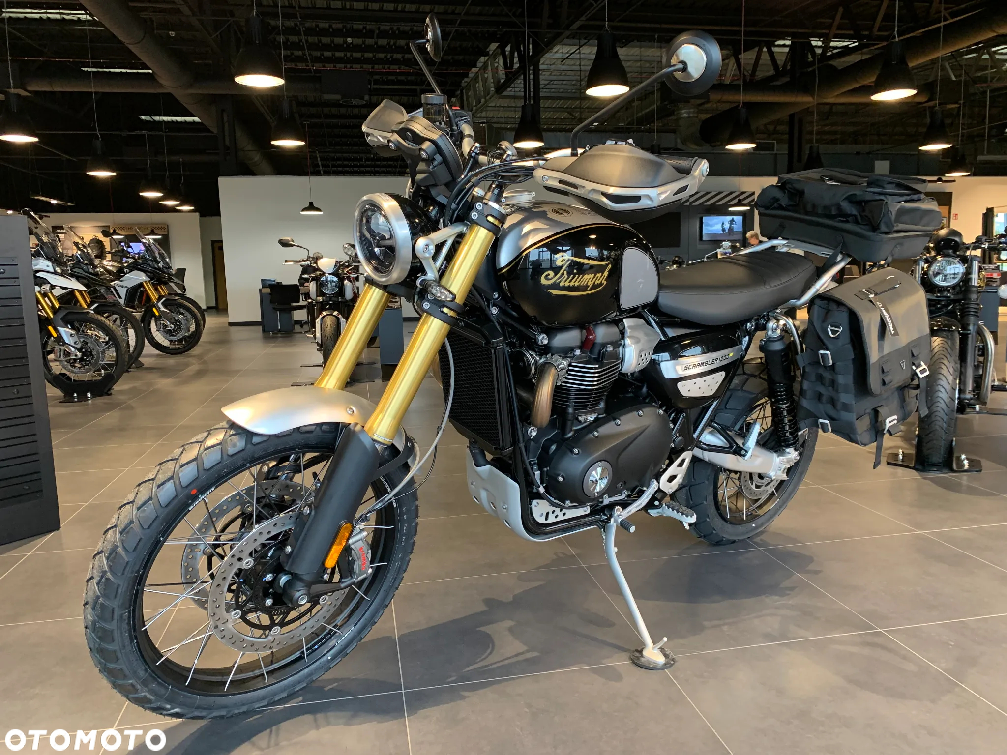 Triumph Scrambler - 7