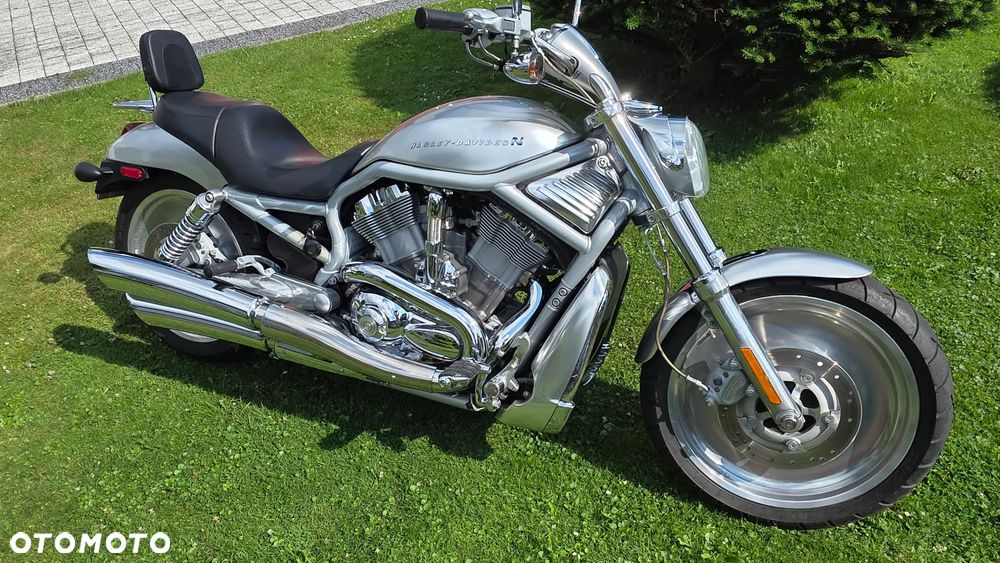 Harley-Davidson Softail V-Rod - 1