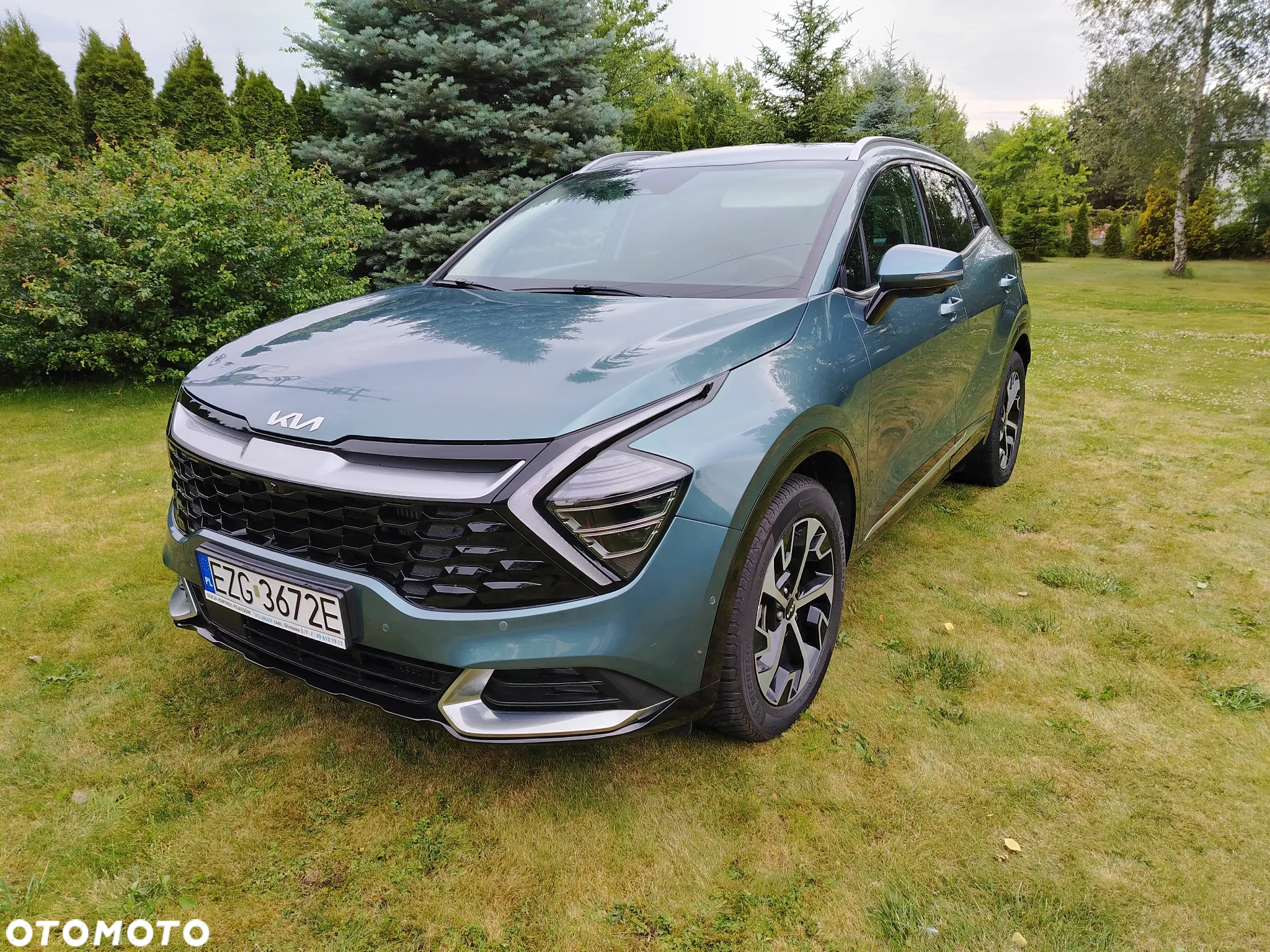 Kia Sportage - 2