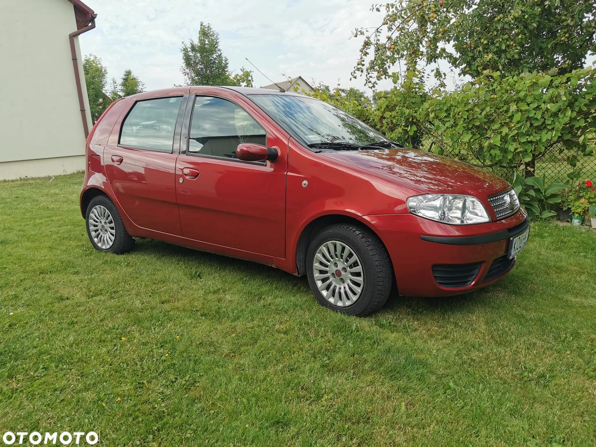 Fiat Punto 1.2 8V Classic - 1