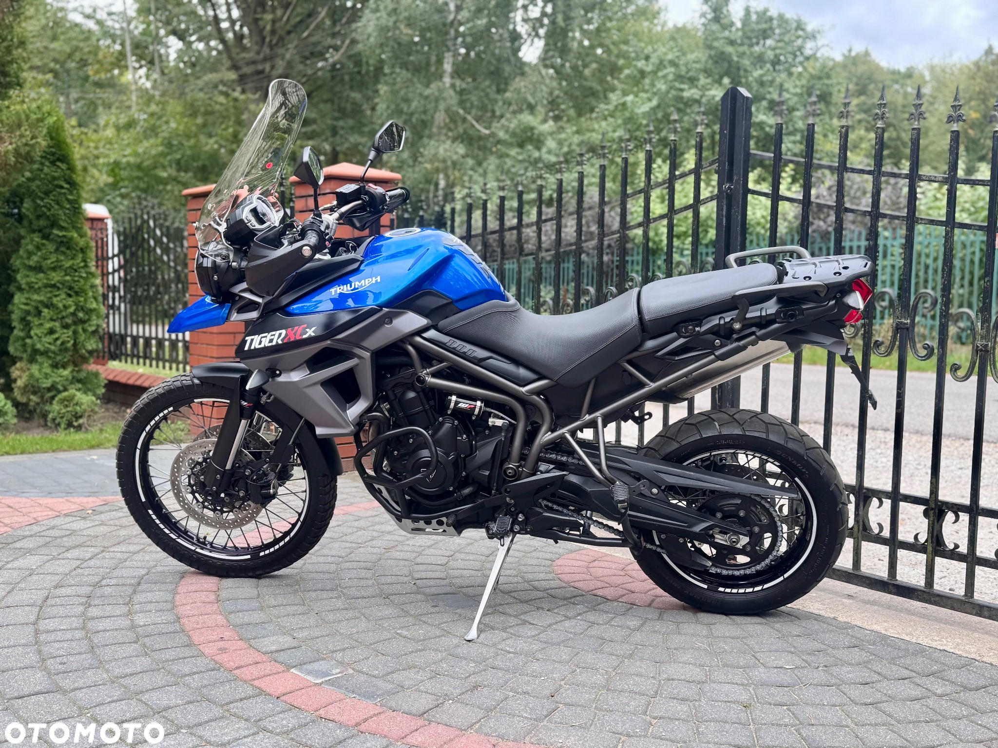 Triumph Tiger - 7