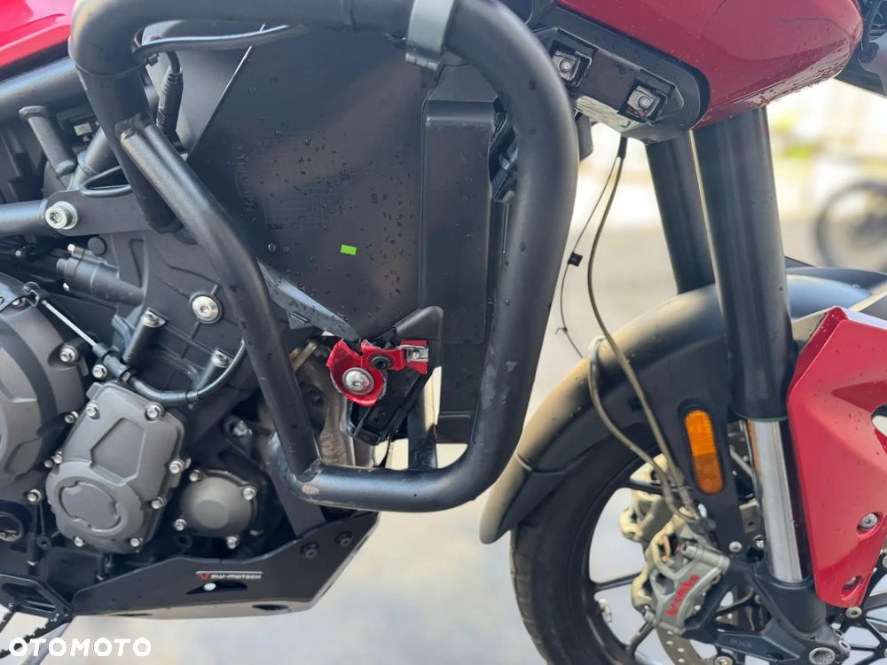 Triumph Tiger - 11