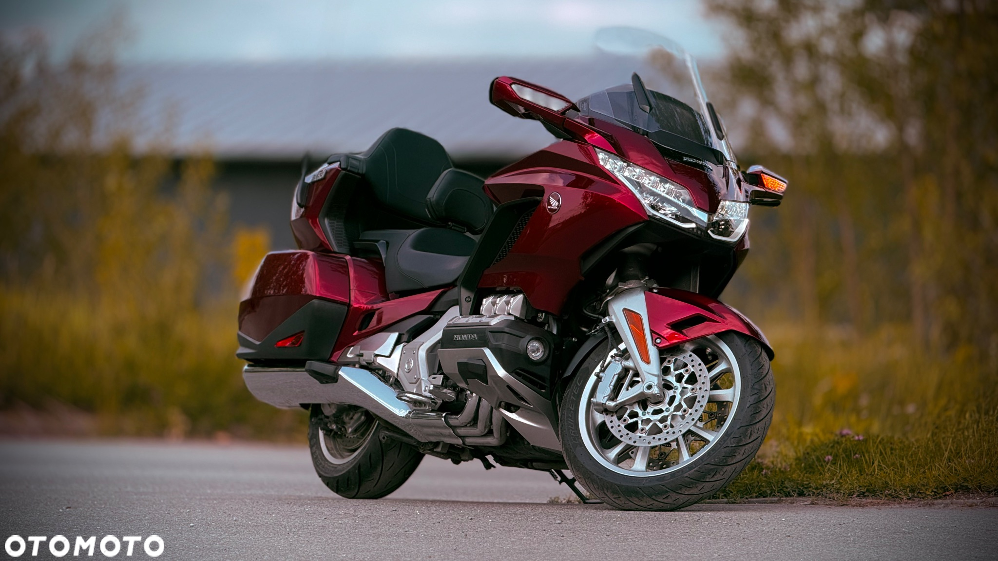 Honda GL - 19