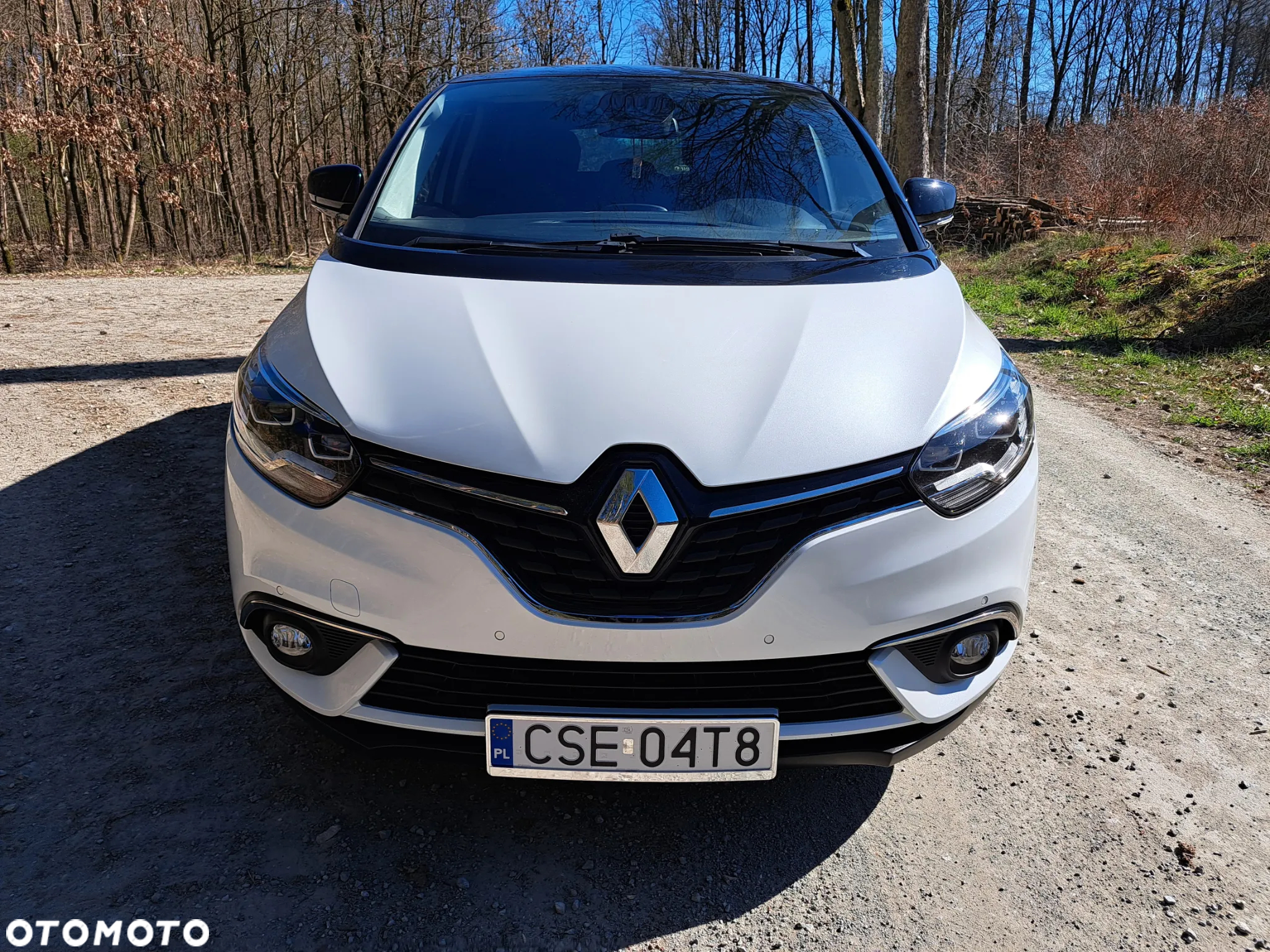 Renault Scenic 1.6 dCi Energy Bose - 2