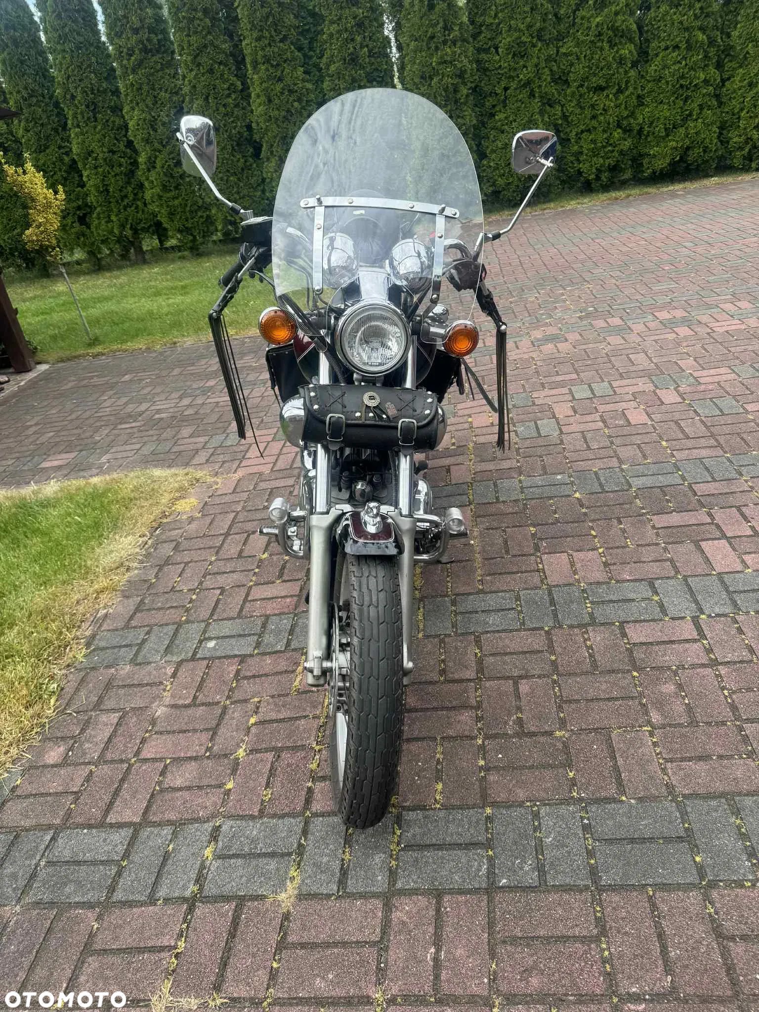 Yamaha Virago - 4