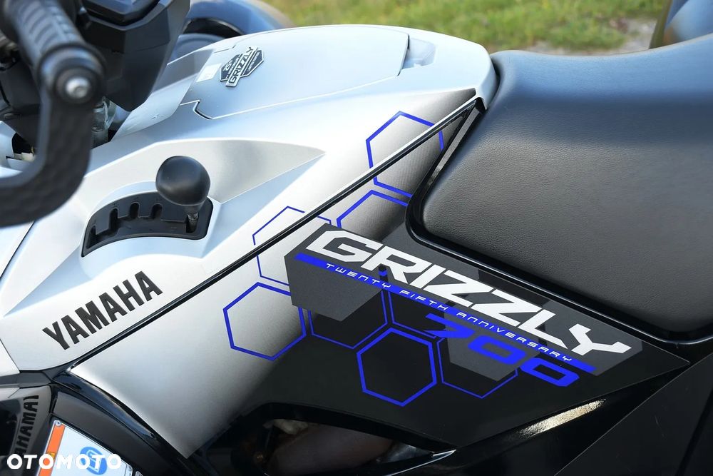 Yamaha Grizzly - 24