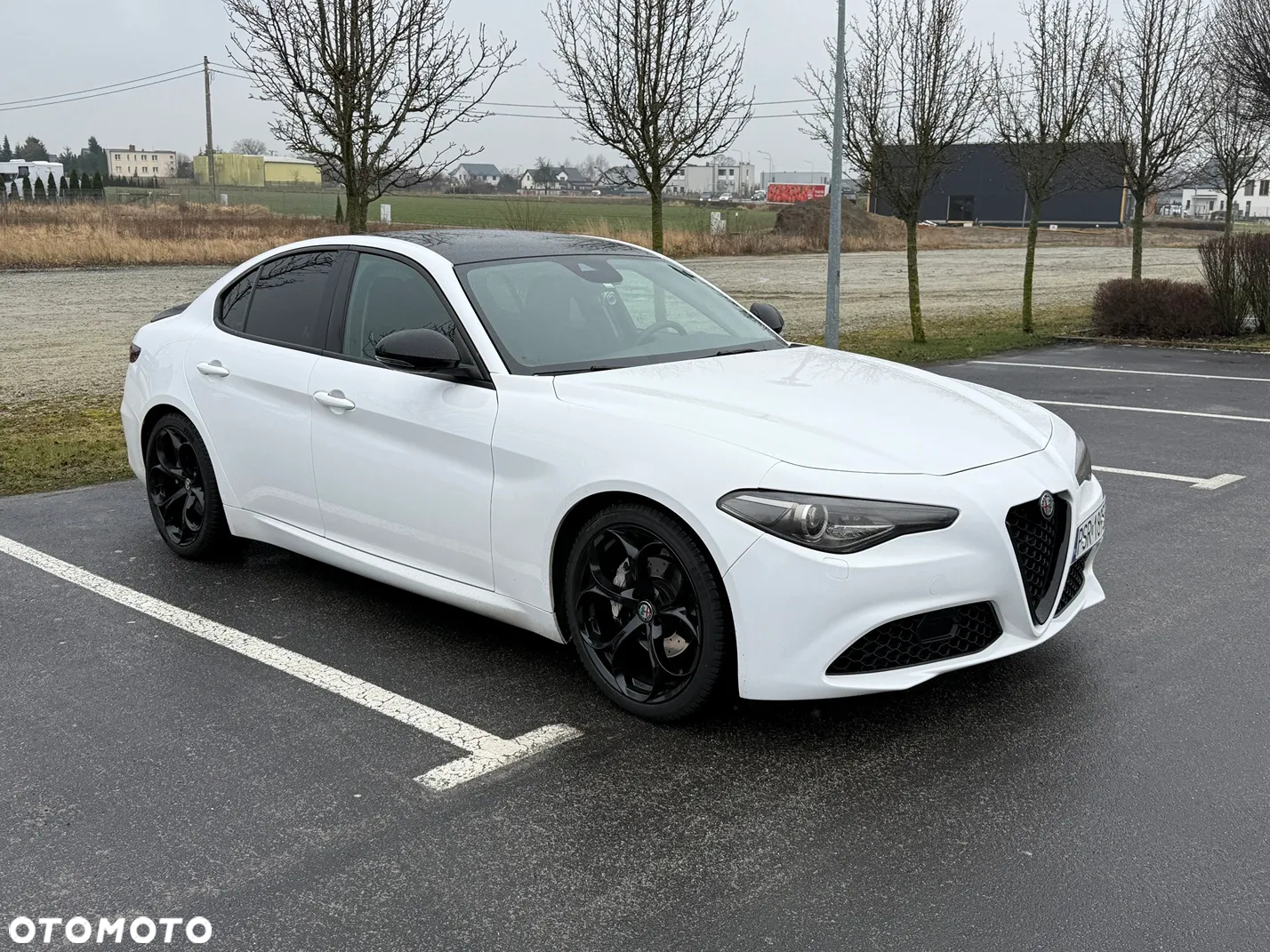 Alfa Romeo Giulia 2.0 Turbo Sprint - 6