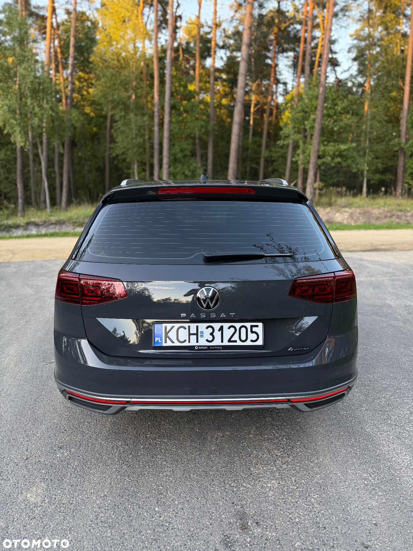 Volkswagen Passat Alltrack 2.0 TDI 4Mot DSG - 13