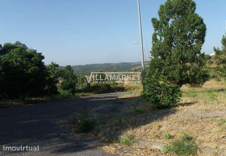 Loteamento com 17587 m2 composto por 24 lotes situados em ABRANTES - Grande imagem: 5/10