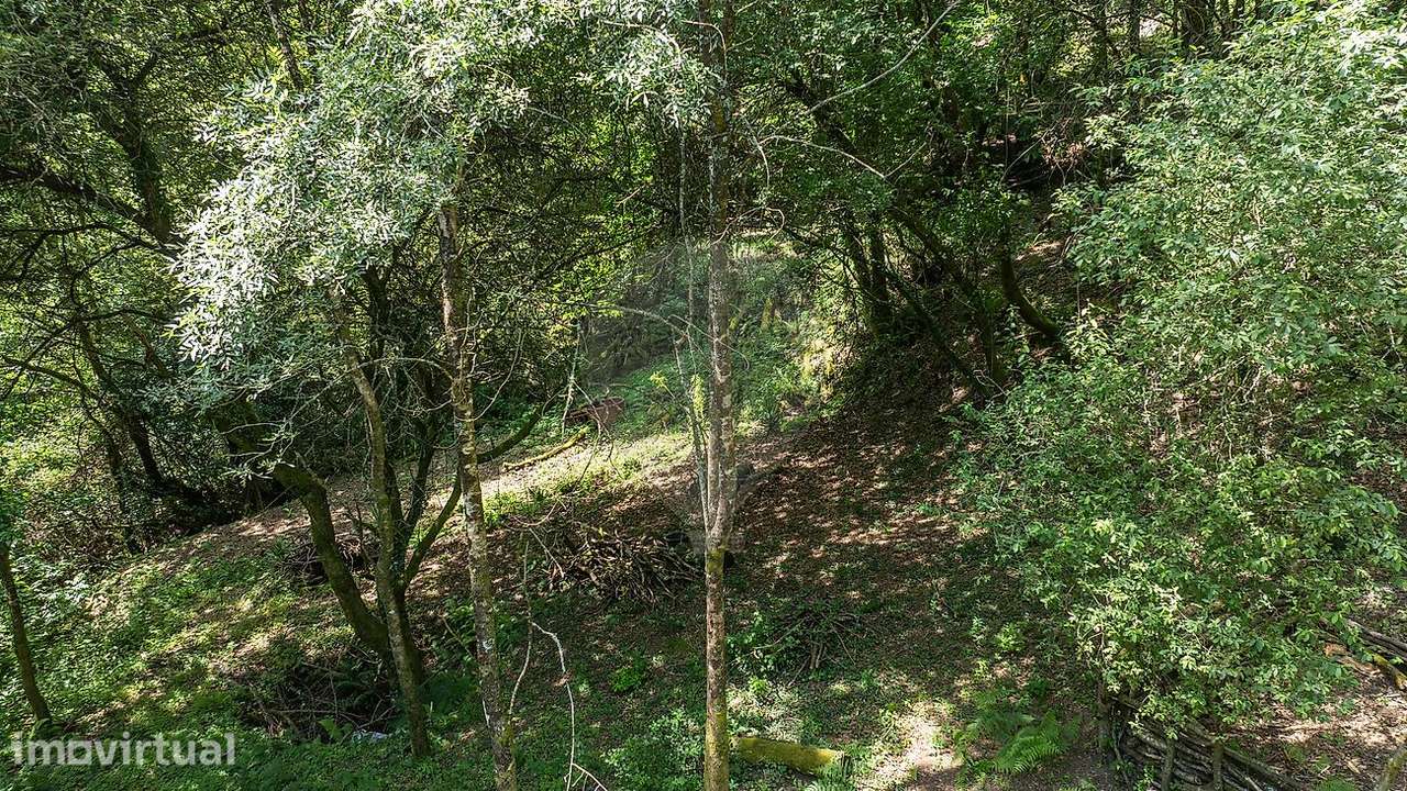 Terreno  para venda - Grande imagem: 5/24