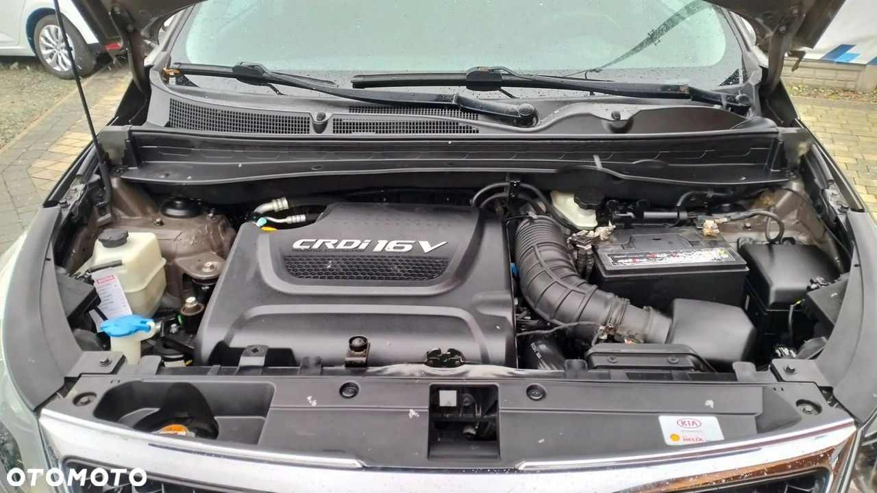 Kia Sportage - 29