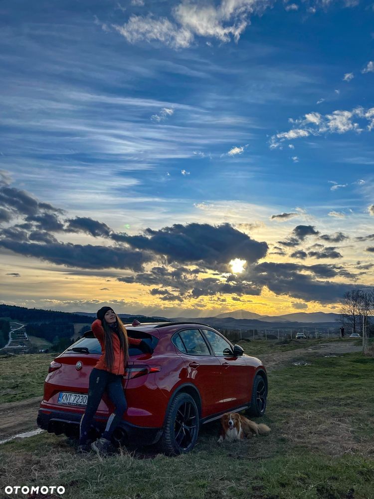 Alfa Romeo Stelvio 2.0 Turbo B-Tech Edition Q4 - 19