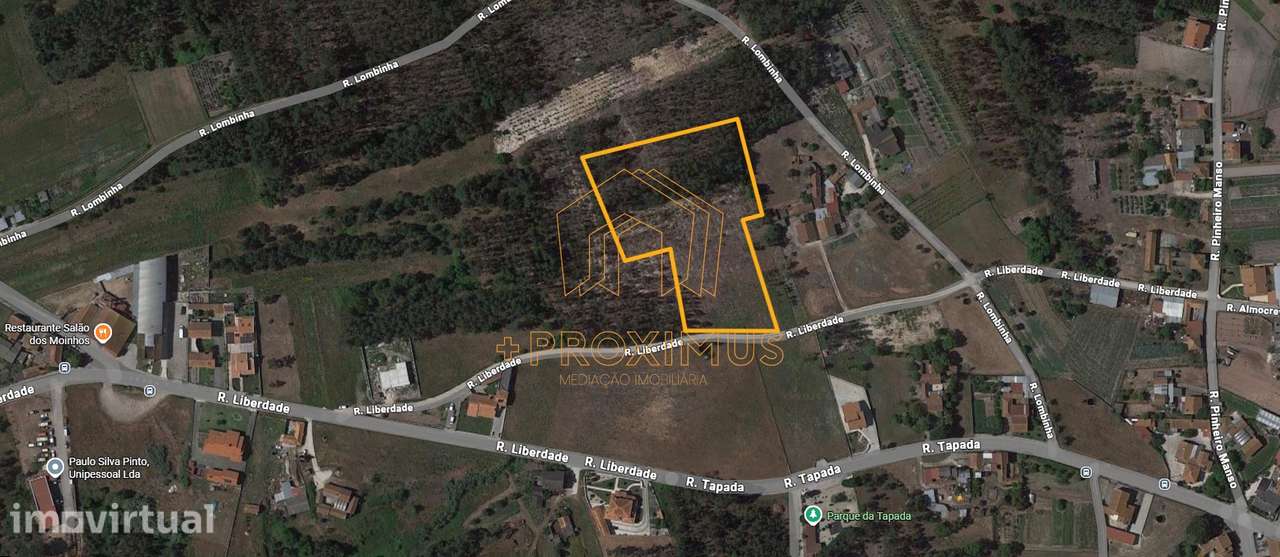 Terreno c/ 10.000m2 - Moinhos da Gândara - Grande imagem: 3/17