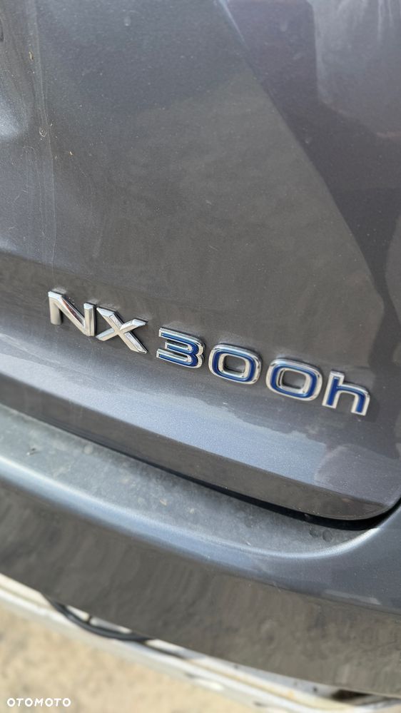 Lexus NX 300 AWD Executive Line - 11