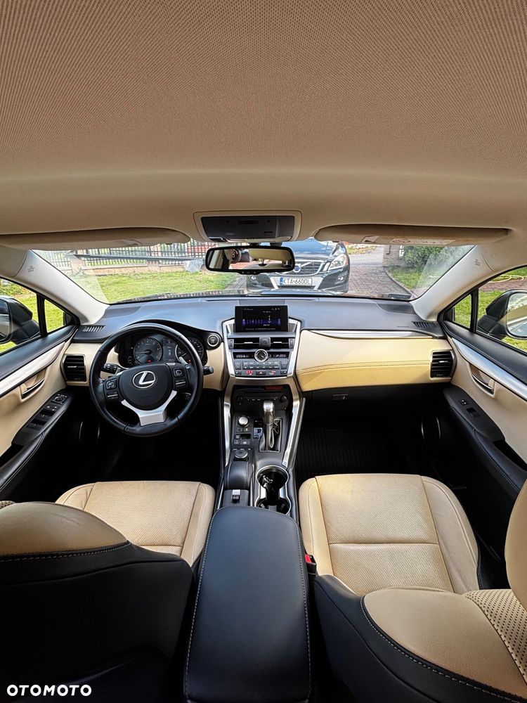 Lexus NX - 12
