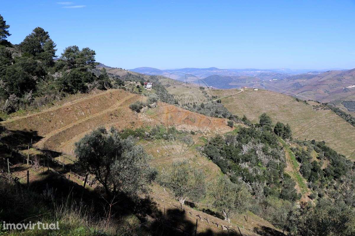 Quinta  para venda - Grande imagem: 3/50