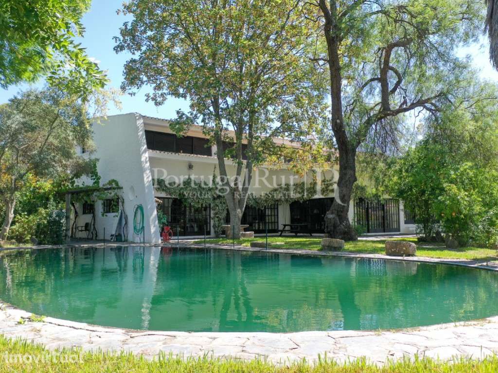 Quintinha com 2 moradias, boxes e picadeiro para cavalos em Moura -... - Grande imagem: 2/39