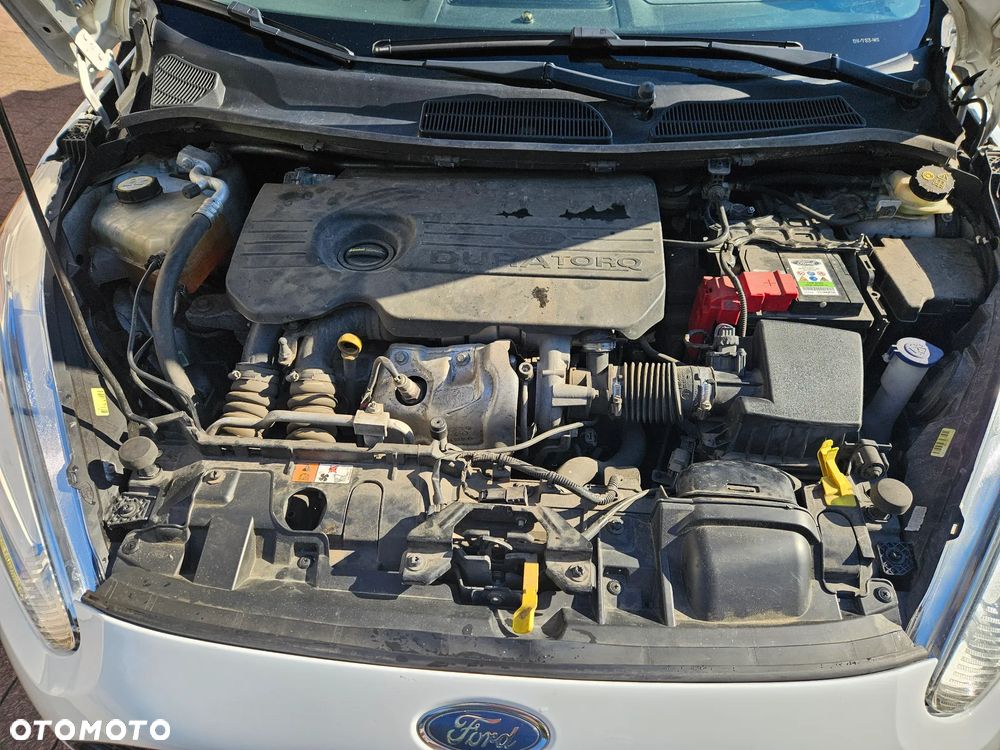 Ford Fiesta - 25