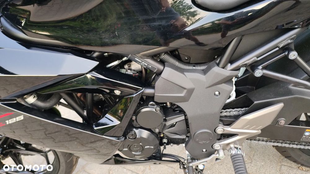 Kawasaki Ninja - 18