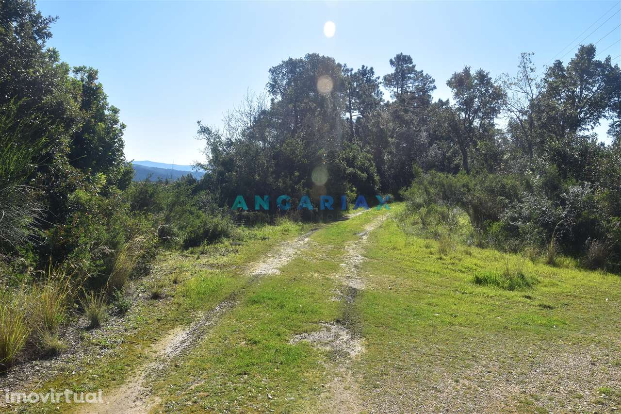 ANG1375 - Terreno para Venda em Coimbra - Grande imagem: 2/13