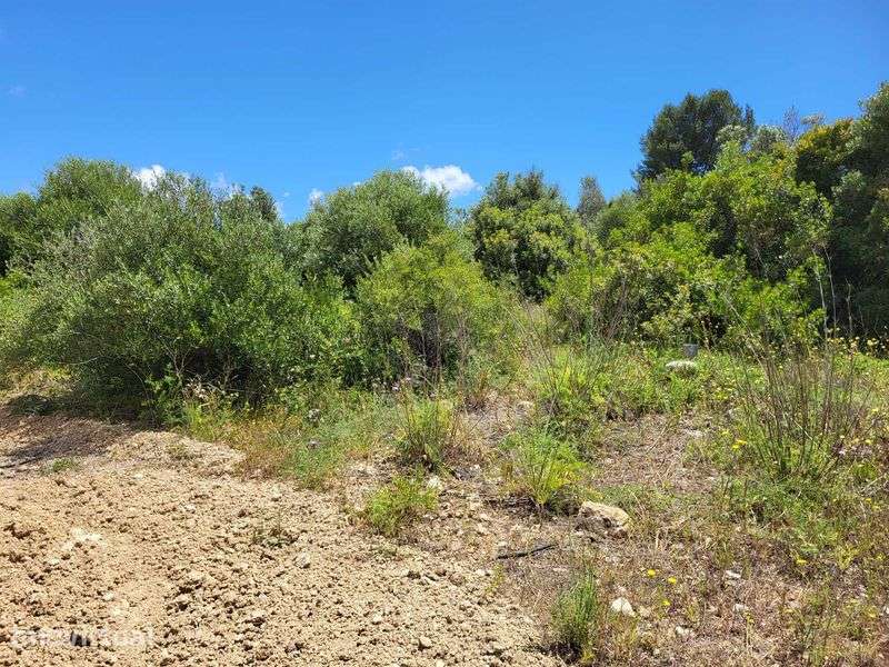 Vendo Terreno com furo água em Algoz - Grande imagem: 4/5