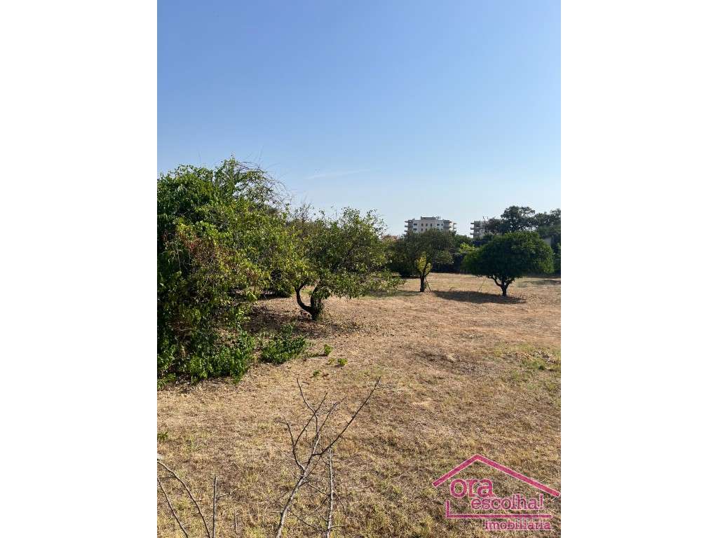 Terreno com 5080 m2, viabilidade de construção na Quinta da Fidalga! - Grande imagem: 4/5