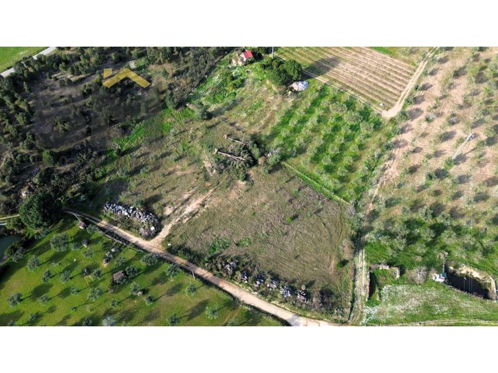 Terreno rústico com 5.750m² em Castelo Branco - Grande imagem: 2/20