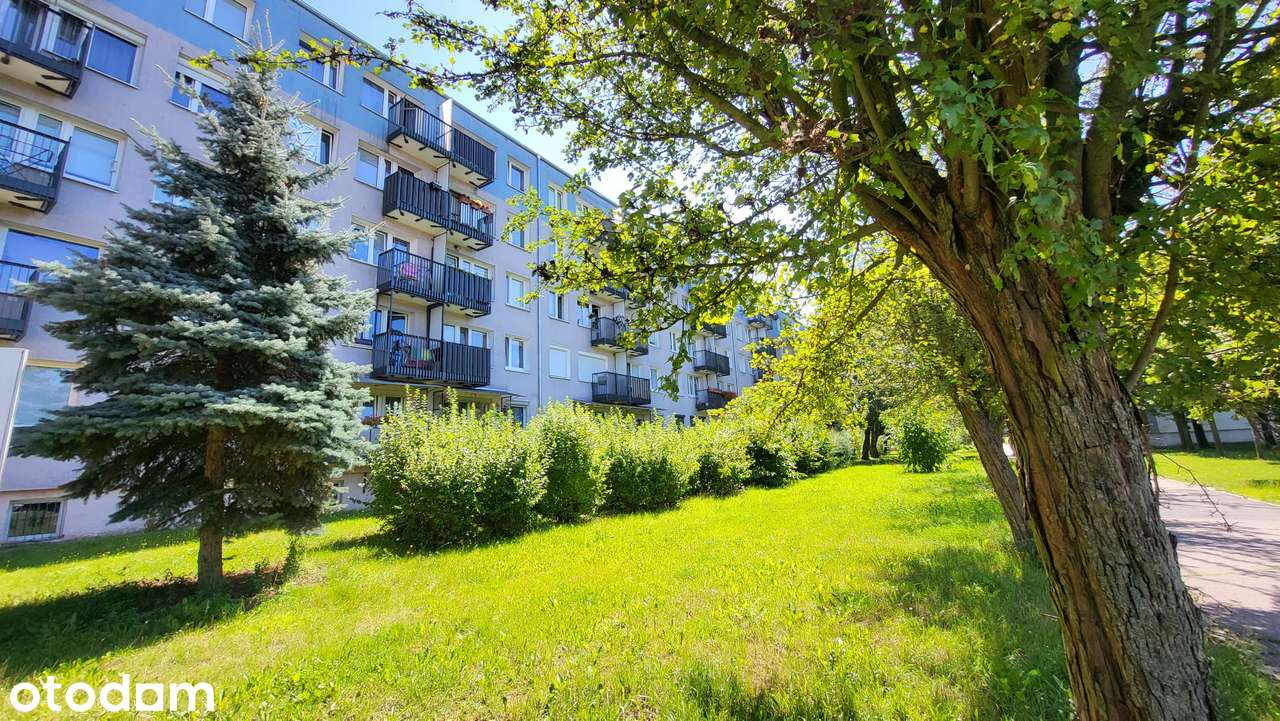 3 pokoje | 47,3 m² | balkon | 2. piętro | Winogrady – os. Kosmonautów