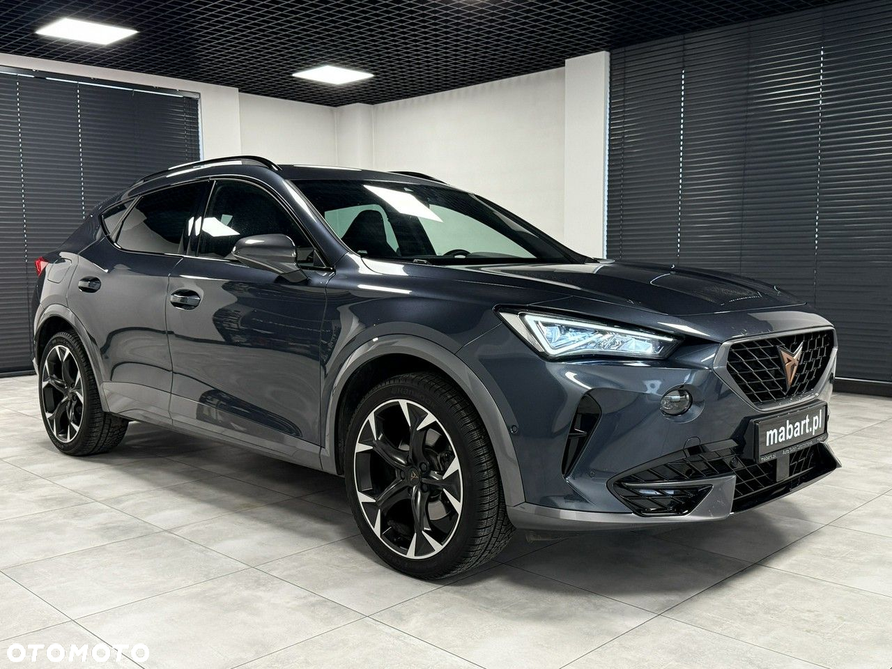 Cupra Formentor 2.0 TSI 4Drive DSG - 10