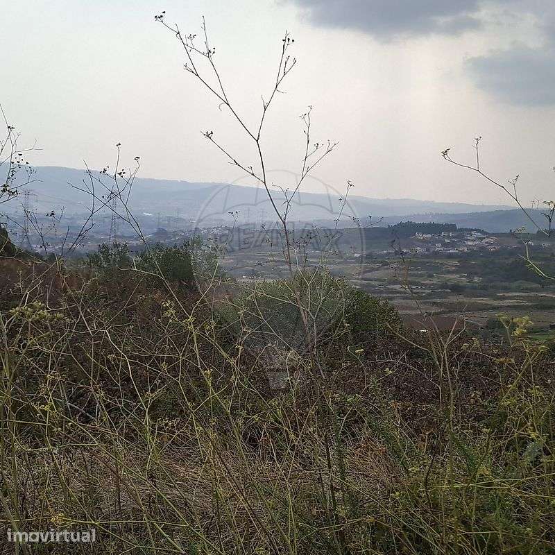 Terreno  para venda - Vista 2