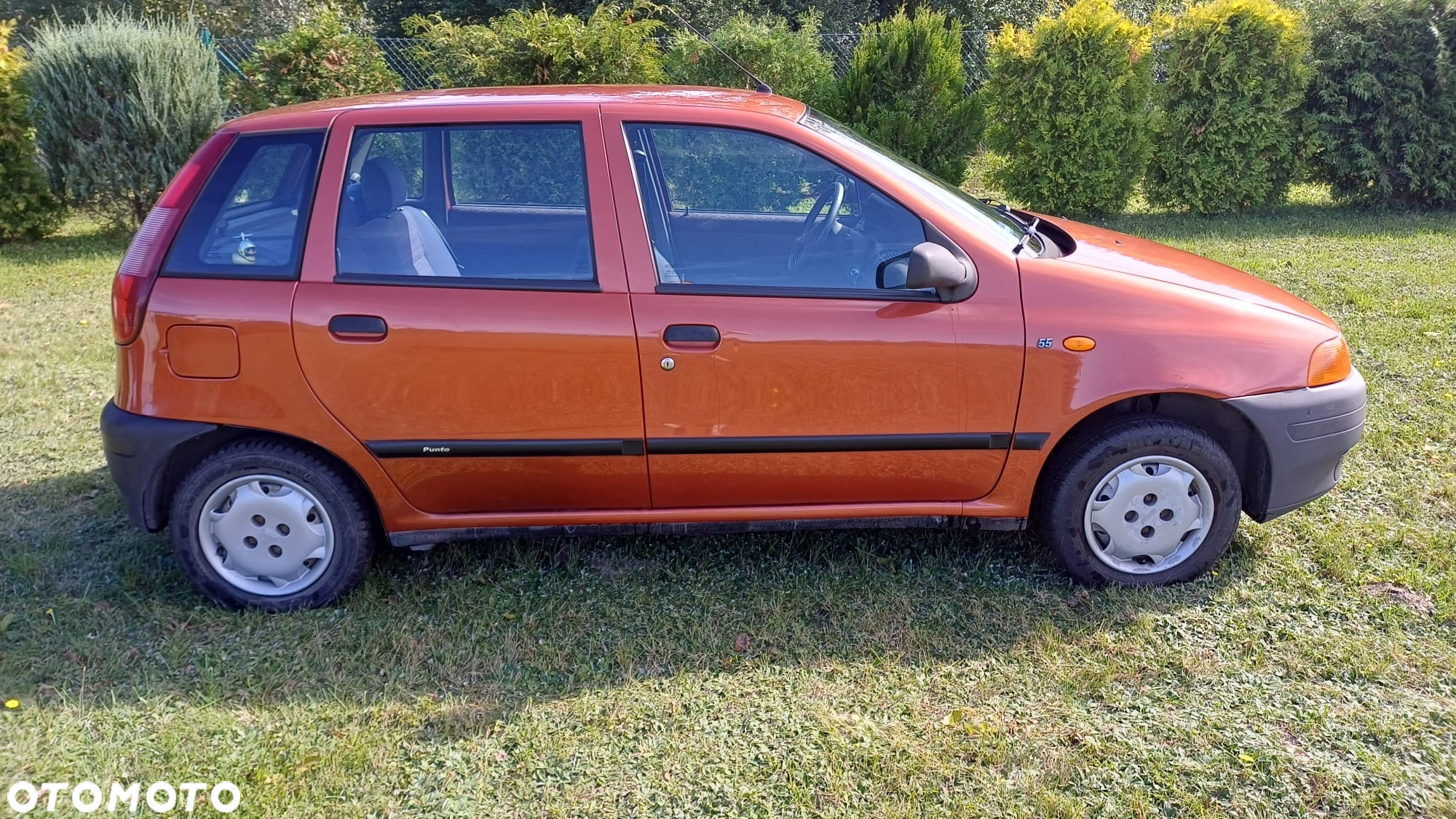 Fiat Punto - 4