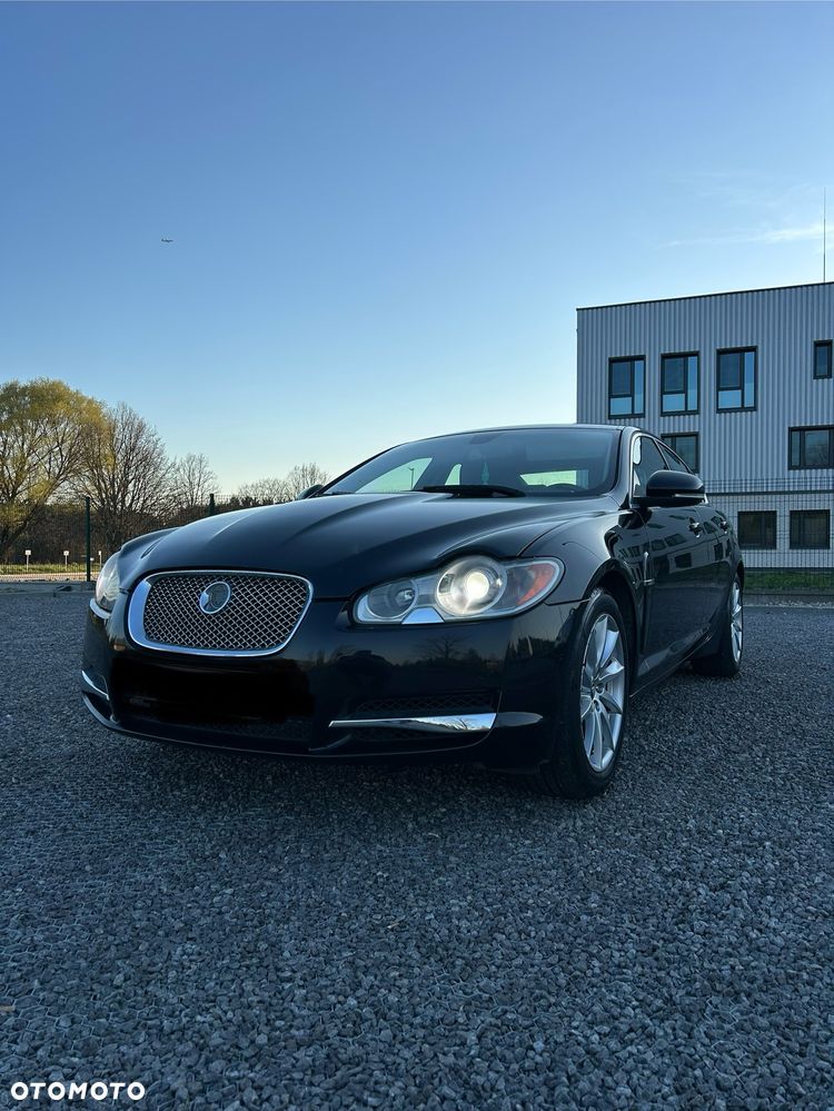 Jaguar Inny - 3