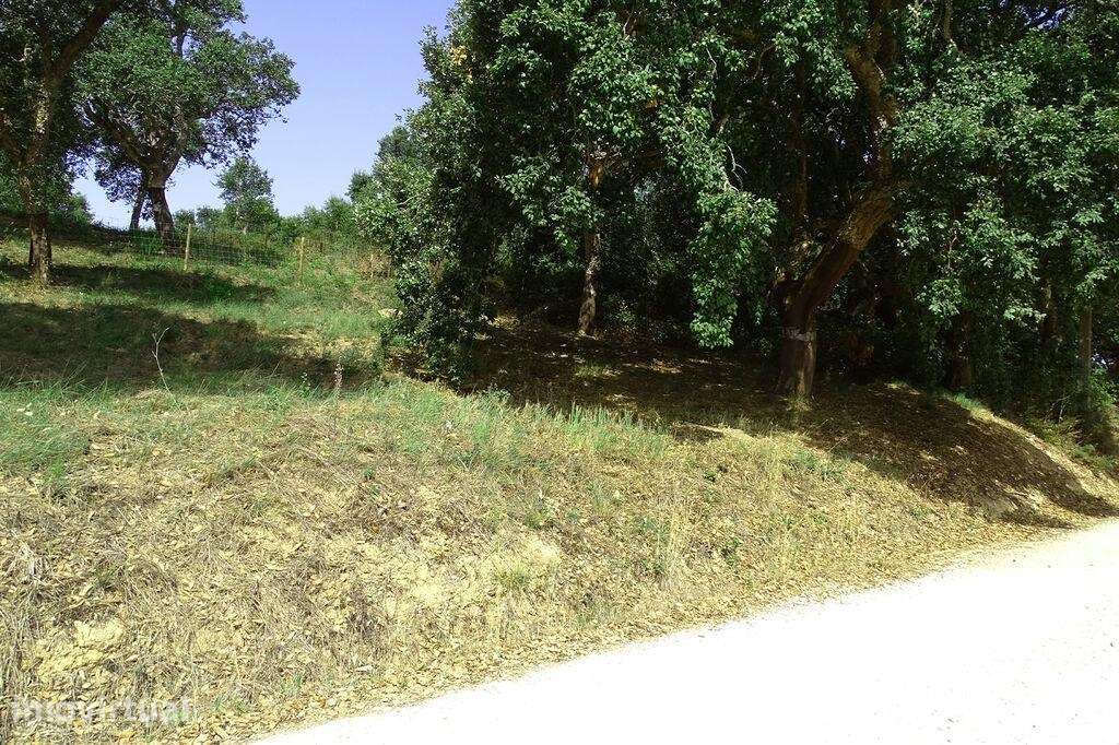 Terreno para construção em A dos Negros - Grande imagem: 2/5