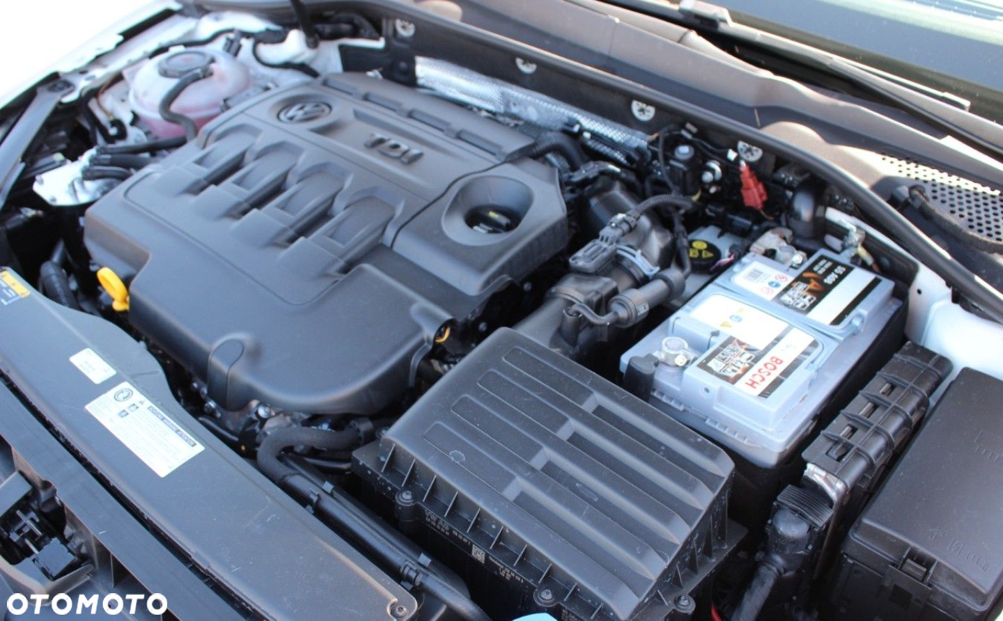 Volkswagen Golf - 20