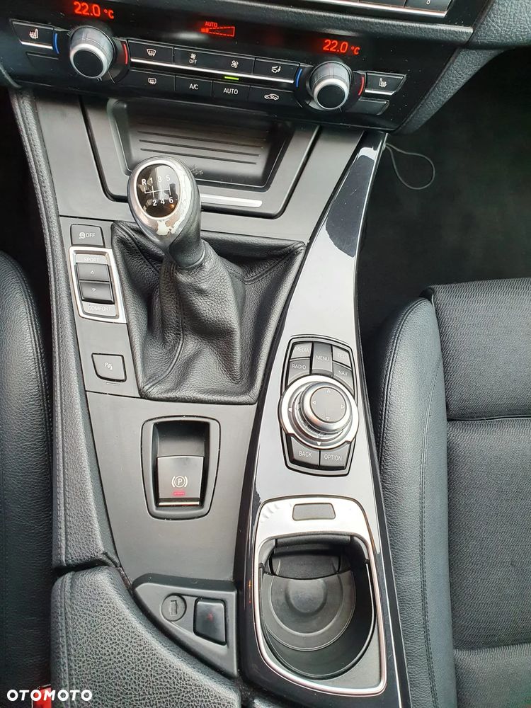 BMW Seria 5 520d Blue Performance - 17