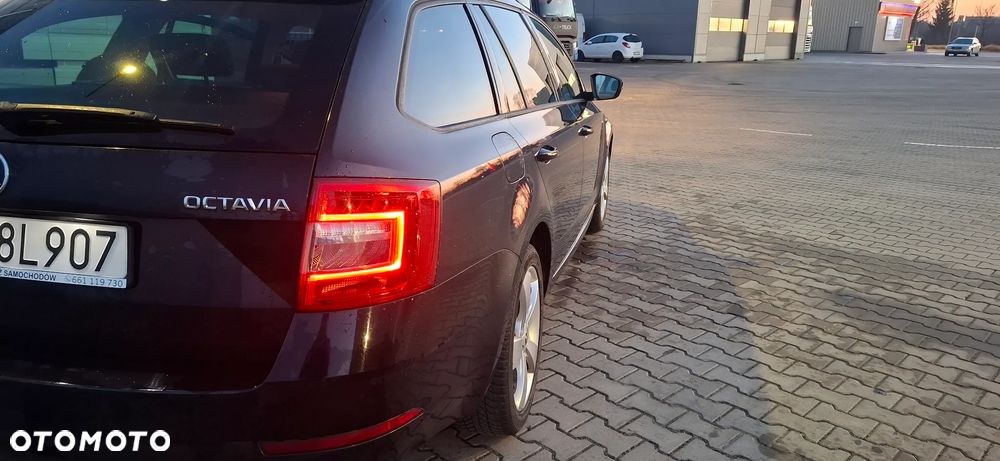 Skoda Octavia 1.0 TSI Drive DSG - 24