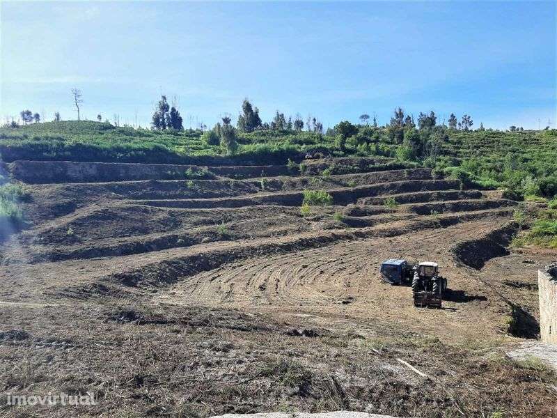 Terreno com casa e acesso ao rio, em Seixas da Beira. - Grande imagem: 2/12