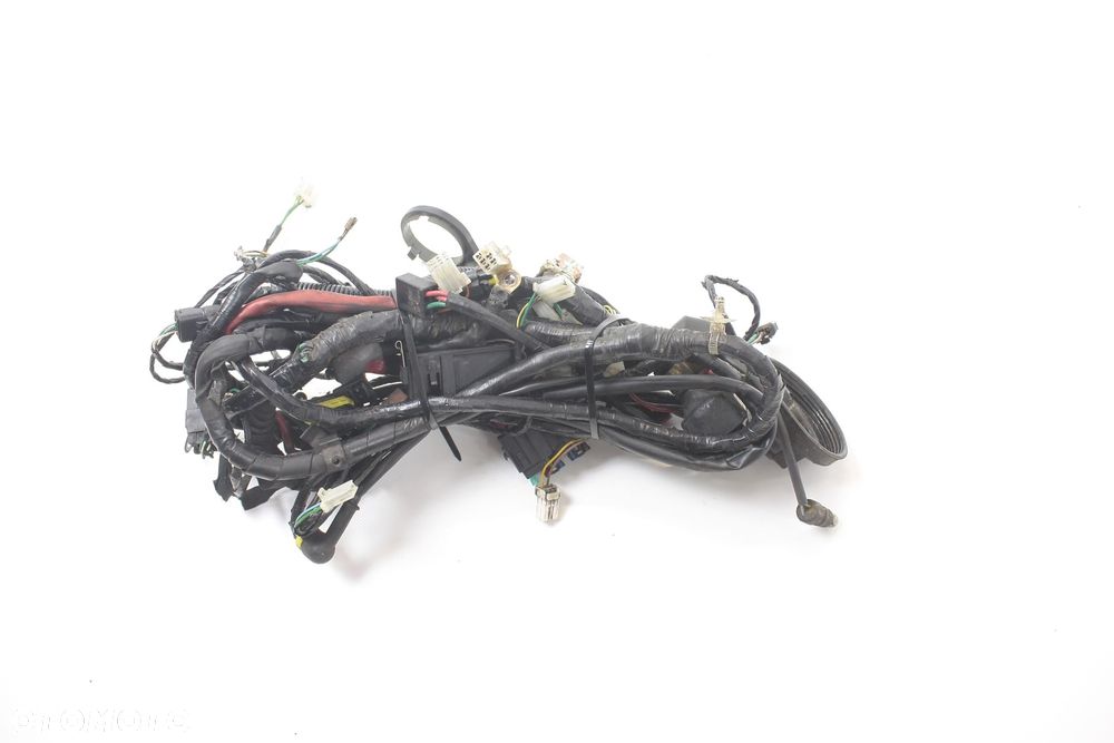 WIĄZKA ELEKTRYCZNA Peugeot Geopolis 250 - 1