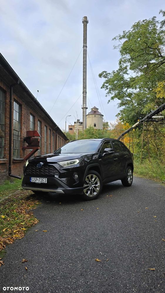 Toyota RAV4 2.5 Hybrid Executive 4x4 - 3