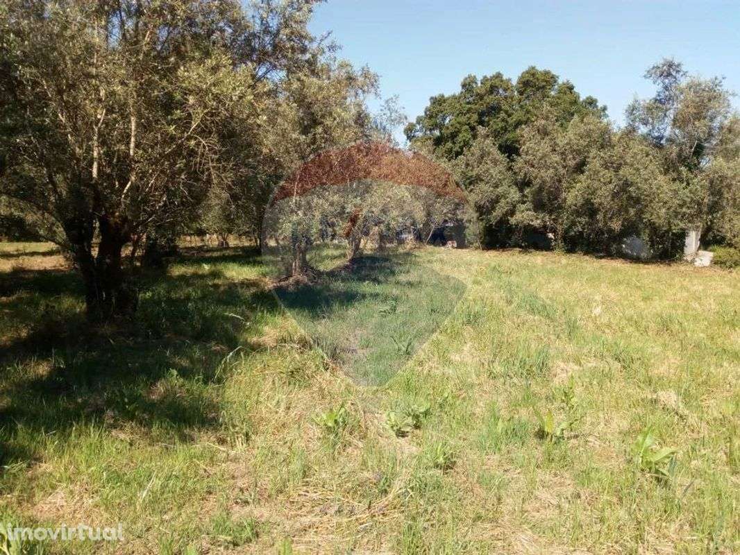 Terreno  para venda - Grande imagem: 2/7