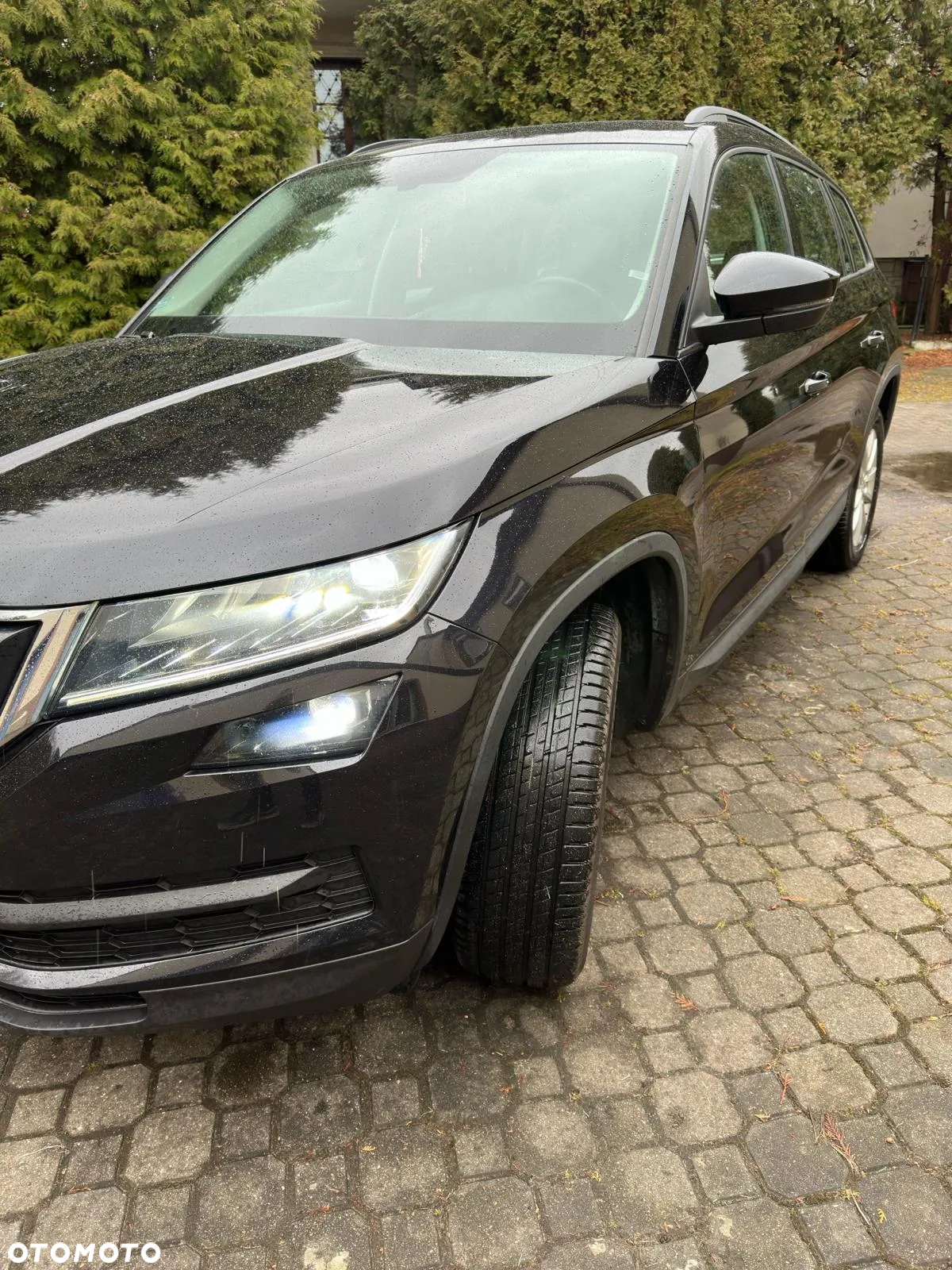 Skoda Kodiaq 2.0 TDI 4x4 Ambition DSG - 4