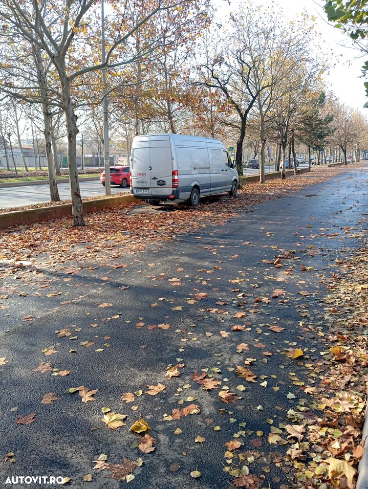 Mercedes-Benz Sprinter 315 CDI 906.233 Aut. - 29