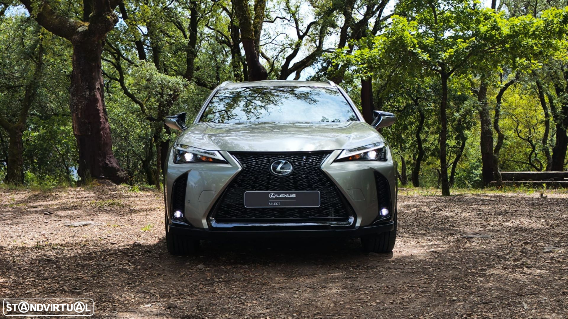 Lexus ux-250h Sport - 2