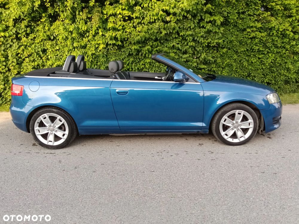 Audi A3 Cabrio 1.9 TDI DPF Ambition - 12