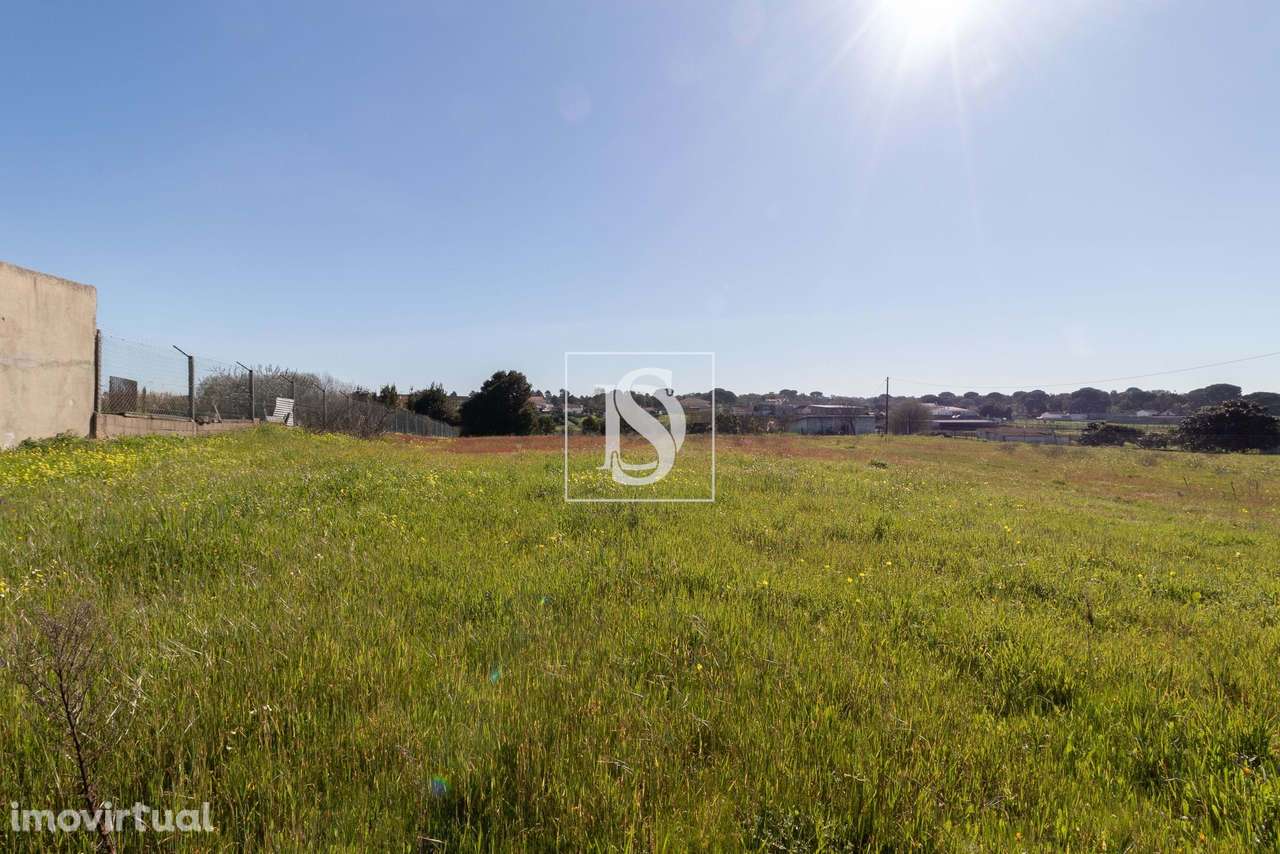 Terreno,  Urbano  Para Construção, Gambia, Setúbal - Grande imagem: 3/8
