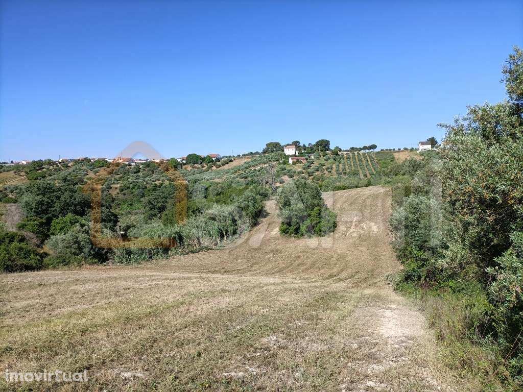Terreno urbanizável Concelho Santarém - Grande imagem: 4/15