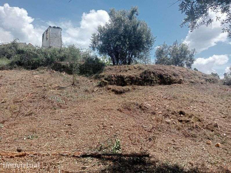 Terreno em Mação - Grande imagem: 2/7