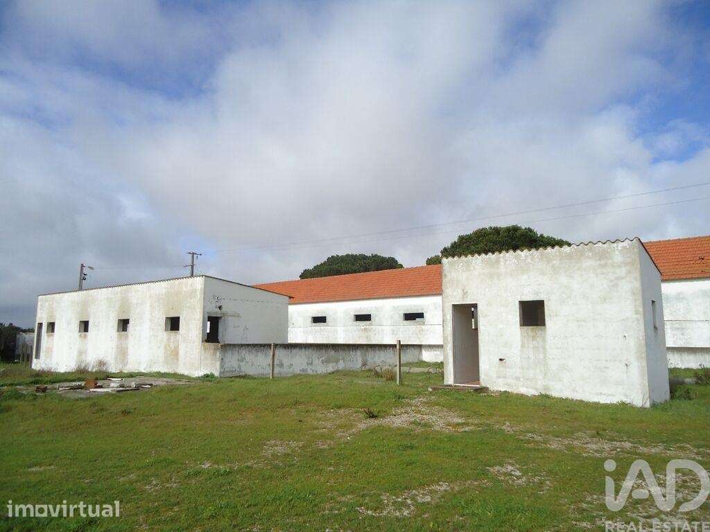 Terreno industrial em Quinta do Anjo - Grande imagem: 3/7