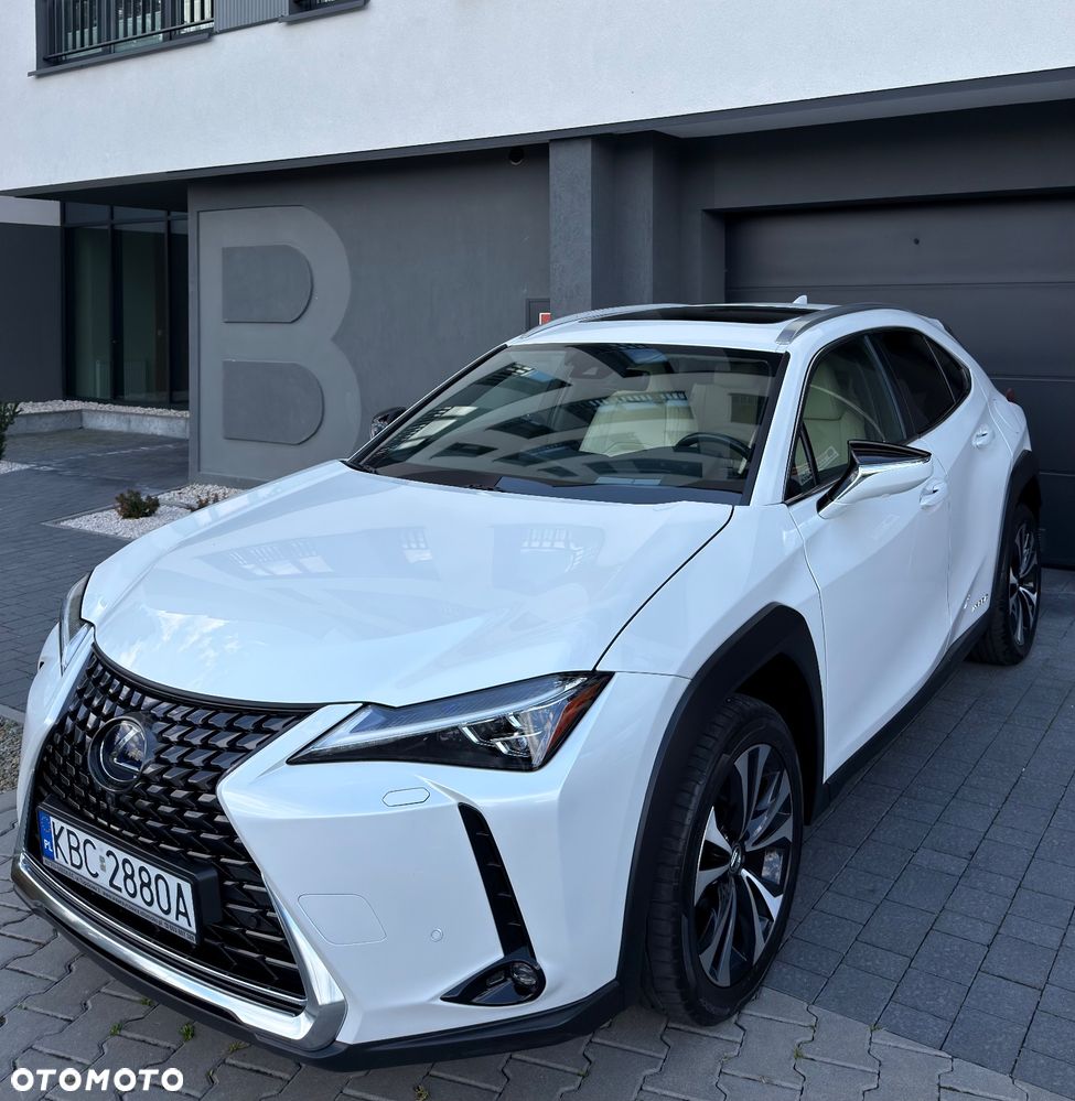 Lexus UX 200 GPF Omotenashi 2WD - 10