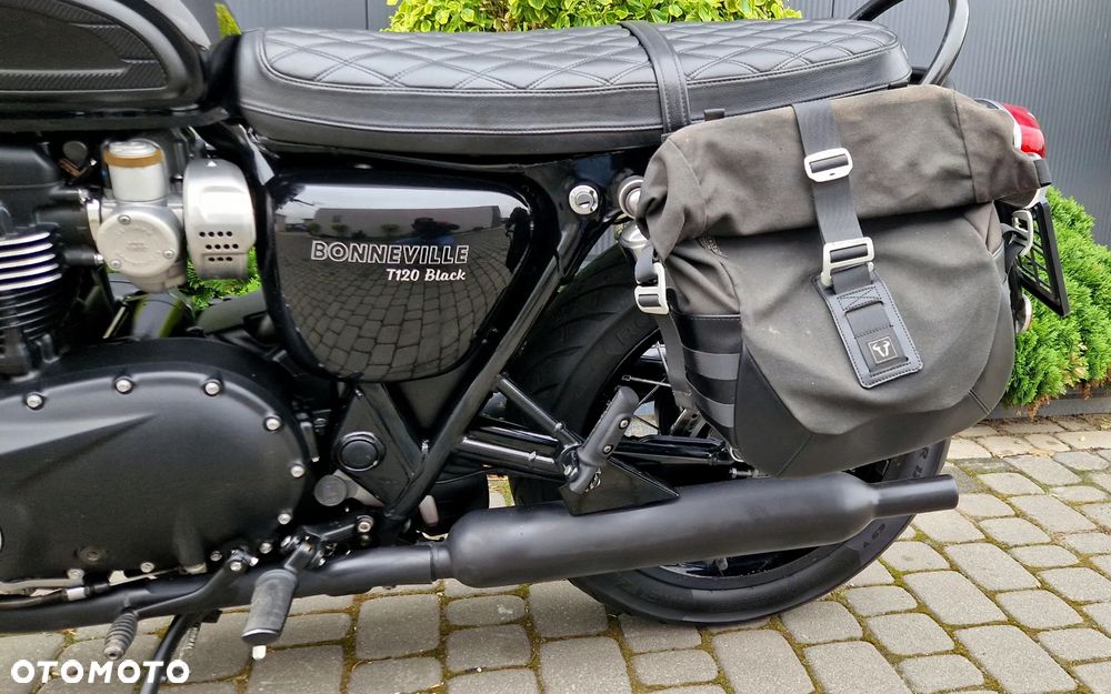 Triumph Bonneville - 24